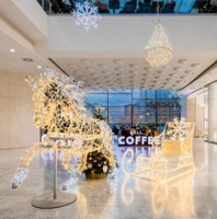 Kouzlo Vánoc v českém světle: Decoled rozsvěcuje města i srdce